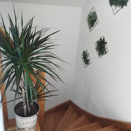 Cisza I Spokój *